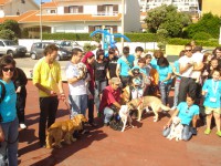 /album/galeria-de-fotos/dsc03043-jpg/