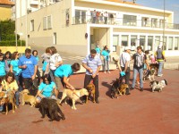 /album/galeria-de-fotos/dsc03044-jpg/