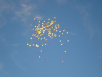 /album/galeria-de-fotos/dsc03101-jpg/